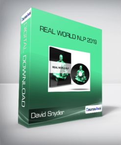 David Snyder - Real World NLP 2019