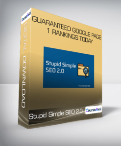 Stupid Simple SEO 2.0 Advanced - Guaranteed Google Page 1 Rankings Today