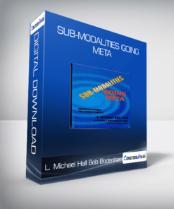 L. Michael Hall and Bob Bodenhamer - Sub-Modalities Going Meta