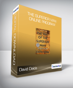 David Deida - The Superior Man Online Program