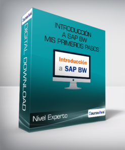 Nivel Experto - Introducción a SAP BW Mis primeros pasos