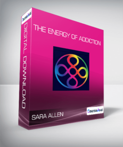 Sara Allen - The Energy of Addiction