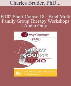 [Audio Only] BT02 Short Course 18 - Brief Multi-Family Group Therapy Workshops: A New Solution for Our Times - Charles Bruder