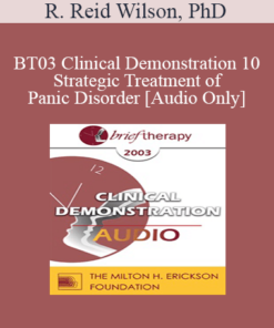 [Audio Only] BT03 Clinical Demonstration 10 - Strategic Treatment of Panic Disorder - R. Reid Wilson