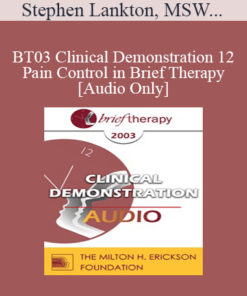 [Audio Only] BT03 Clinical Demonstration 12 - Pain Control in Brief Therapy - Stephen Lankton