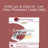 [Audio Only] BT08 Law & Ethics 01 - Law & Ethics Workshop I - Steven Frankel