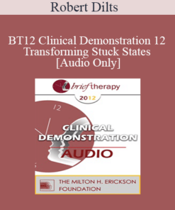 [Audio] BT12 Clinical Demonstration 12 - Transforming Stuck States - Robert Dilts