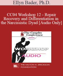 [Audio] CC04 Workshop 12 - Repair