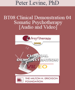 [Audio and Video] BT08 Clinical Demonstration 04 - Somatic Psychotherapy - Peter Levine