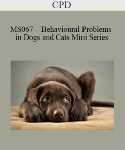 CPD - MS067 – Behavioural Problems in Dogs and Cats Mini Series