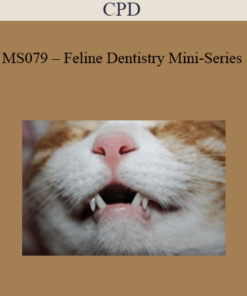 CPD - MS079 – Feline Dentistry Mini-Series