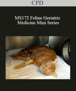 CPD - MS172 Feline Geriatric Medicine Mini Series