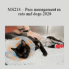 CPD - MS218 – Pain management in cats and dogs 2020