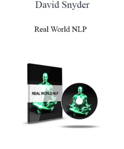 David Snyder - Real World NLP