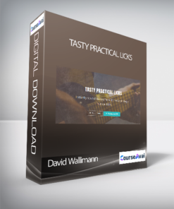 David Wallimann - TASTY PRACTICAL LICKS