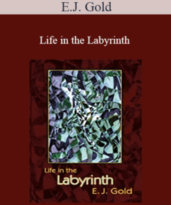 E.J. Gold - Life in the Labyrinth