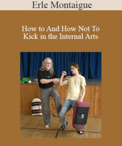 Erle Montaigue - How to And How Not To Kick in the Internal Arts