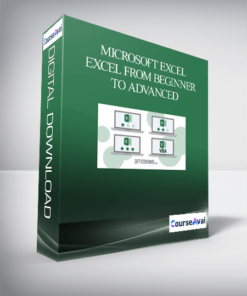 Microsoft Excel - Excel from Beginner to Advanced