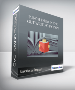 Punch Them In The Gut Writing Fiction with Emotional Impact