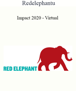 Redelephantu - Impact 2020 - Virtual