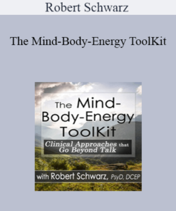 Robert Schwarz - The Mind-Body-Energy ToolKit: Clinical Approaches that Go Beyond Talk