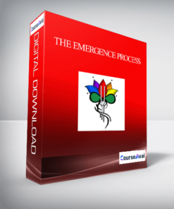 The Emergence Process