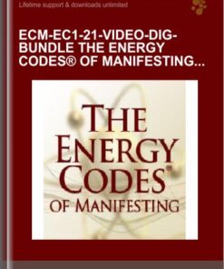 ECM - EC1 - 21 - VIDEO - DIG - BUNDLE The Energy Codes® of Manifesting and Level I _ Video of LIVE Event  -  Sue Morter