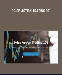 Price Action Trading 101  -  Steve Burns