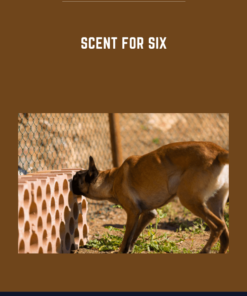 Scent For Six  -  Nando