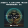Ancestral Healing Course + Making Progress Bundle 2023 - Teal Swan