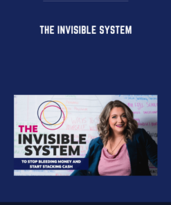 The Invisible System  -  Brie Sodano