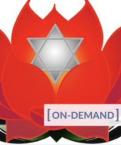 On-Demand Meditation Level 1 Course - Gregor Maehle