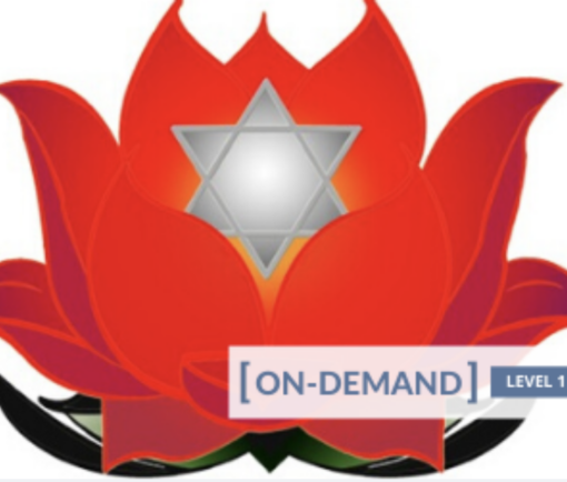 On-Demand Meditation Level 1 Course - Gregor Maehle