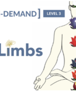 On-Demand Meditation Level 3 Course - Gregor Maehle