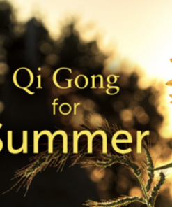 Qi Gong for Summer Workshop - Lee Holden