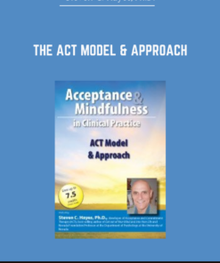 The ACT Model & Approach - Steven C. Hayes
