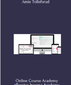 Online Course Academy +Passive Income Academy BUNDLE - Amie Tollefsrud