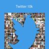 Alex Berman Twitter 10k 250x343 1 » Courses[GB]