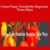 Amity Katharine Libby Crepe Paper Doublette Begonias Three Ways 250x343 1 » Courses[GB]