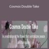 Catherine Oxley Cosmos Double Take 250x343 1 » Courses[GB]
