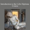 Centreofexcellence – Introduction to the Celts Diploma Course