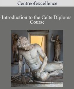 Centreofexcellence – Introduction to the Celts Diploma Course