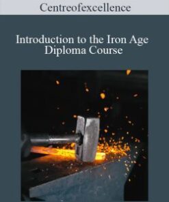Centreofexcellence – Introduction to the Iron Age Diploma Course