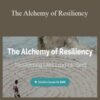 Dajon Smiles The Alchemy of Resiliency 250x343 1 » Courses[GB]