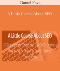 Daniel Fava – A Little Course About SEO