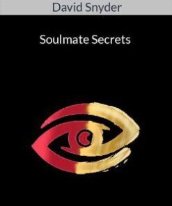 David Snyder – Soulmate Secrets