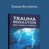 David Snyder Trauma Resolution 1 250x343 1 » Courses[GB]