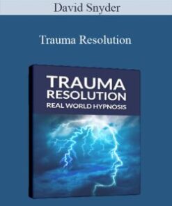 David Snyder – Trauma Resolution