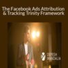 Depesh Mandalia – The Facebook Ads Attribution & Tracking Trinity Framework