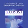 Derek Vitalio The Blueprint A Linear Breakdown Of Seduction 250x343 1 » Courses[GB]